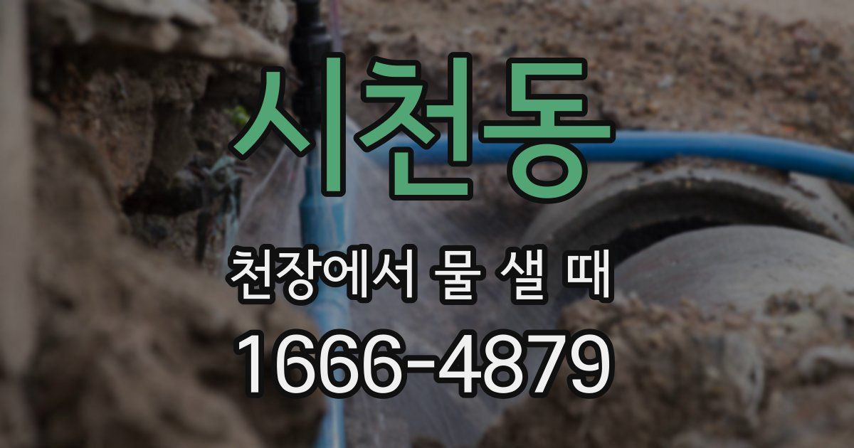 시천동 천장에서 물 샐 때