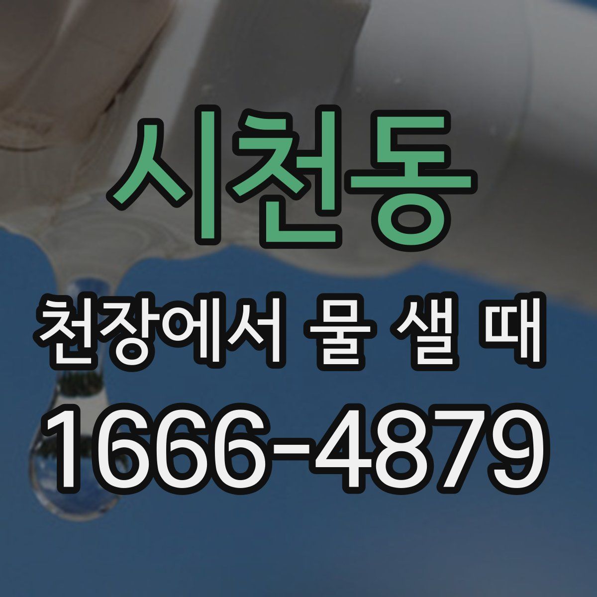 시천동 천장에서 물 샐 때