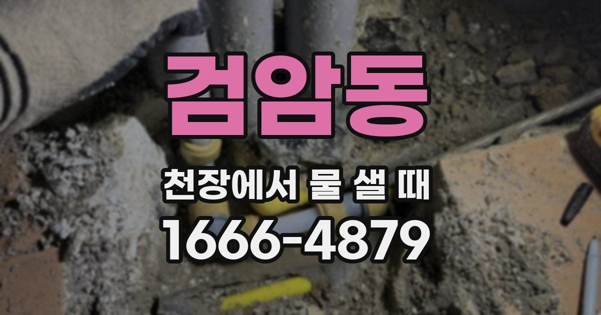 검암동 천장에서 물 샐 때