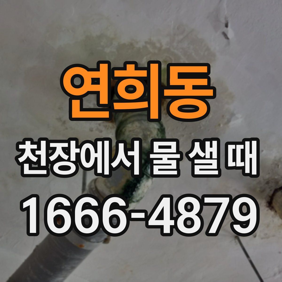 연희동 천장에서 물 샐 때