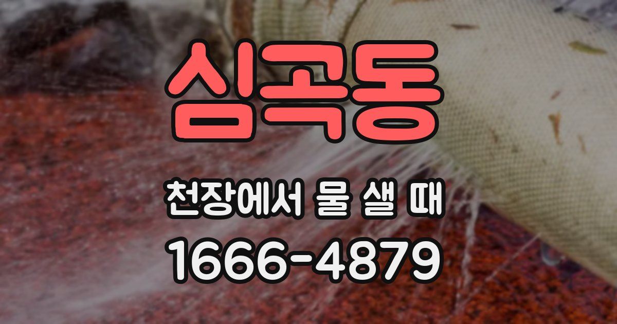 심곡동 천장에서 물 샐 때