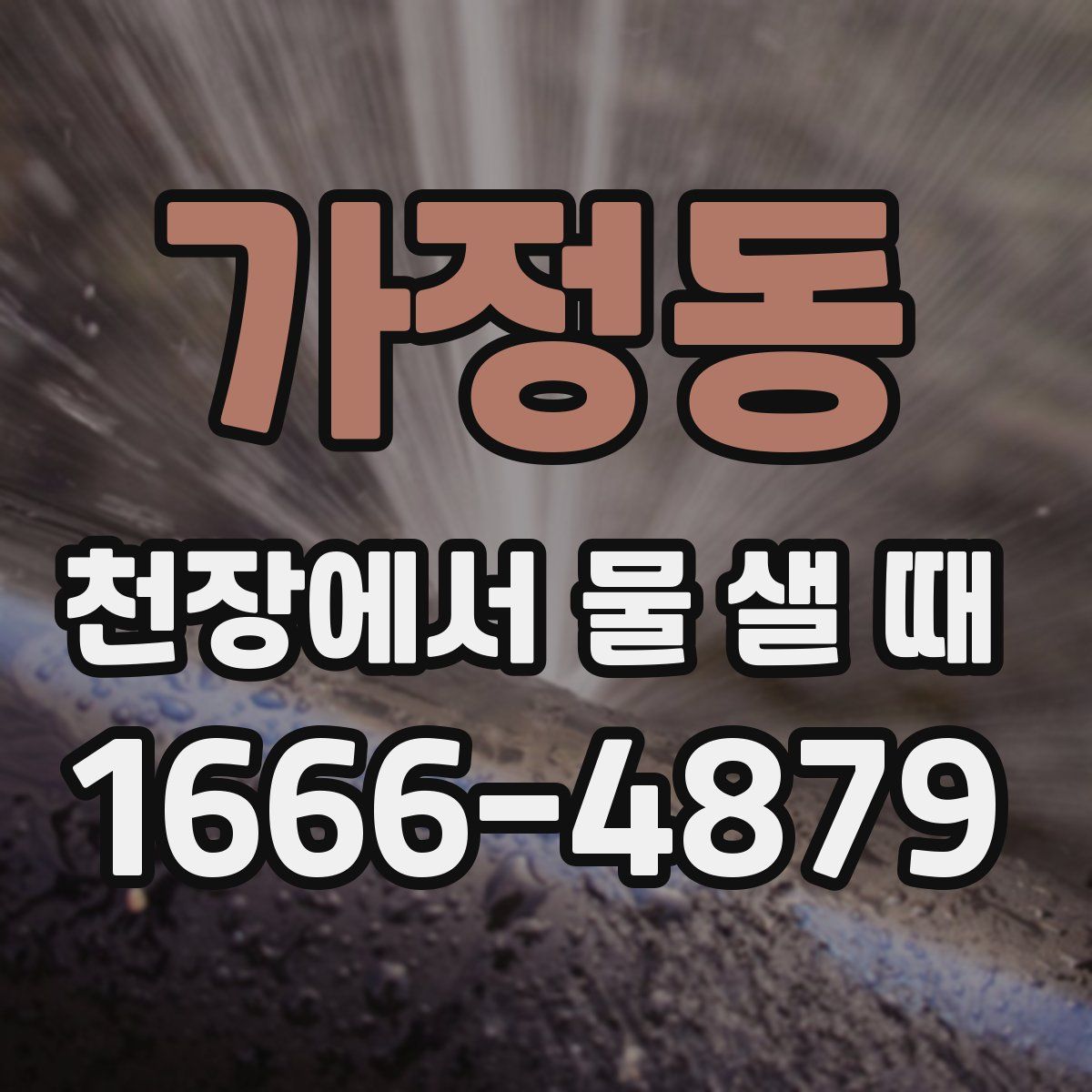 가정동 천장에서 물 샐 때