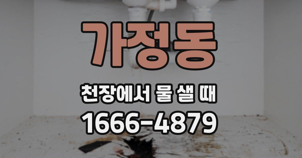가정동 천장에서 물 샐 때