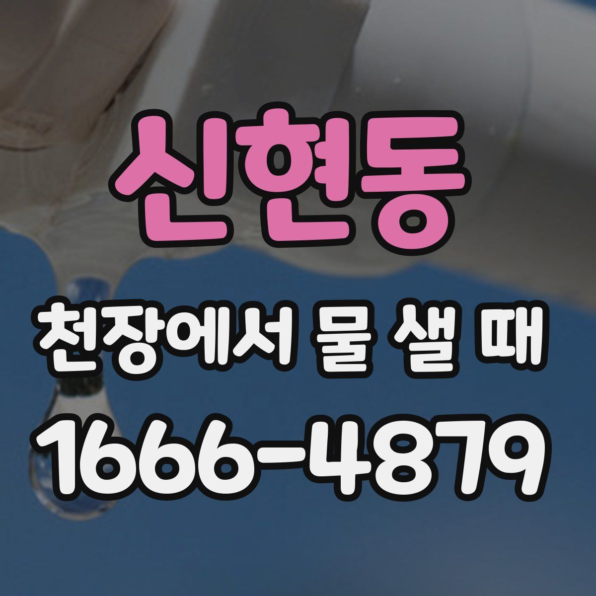 신현동 천장에서 물 샐 때