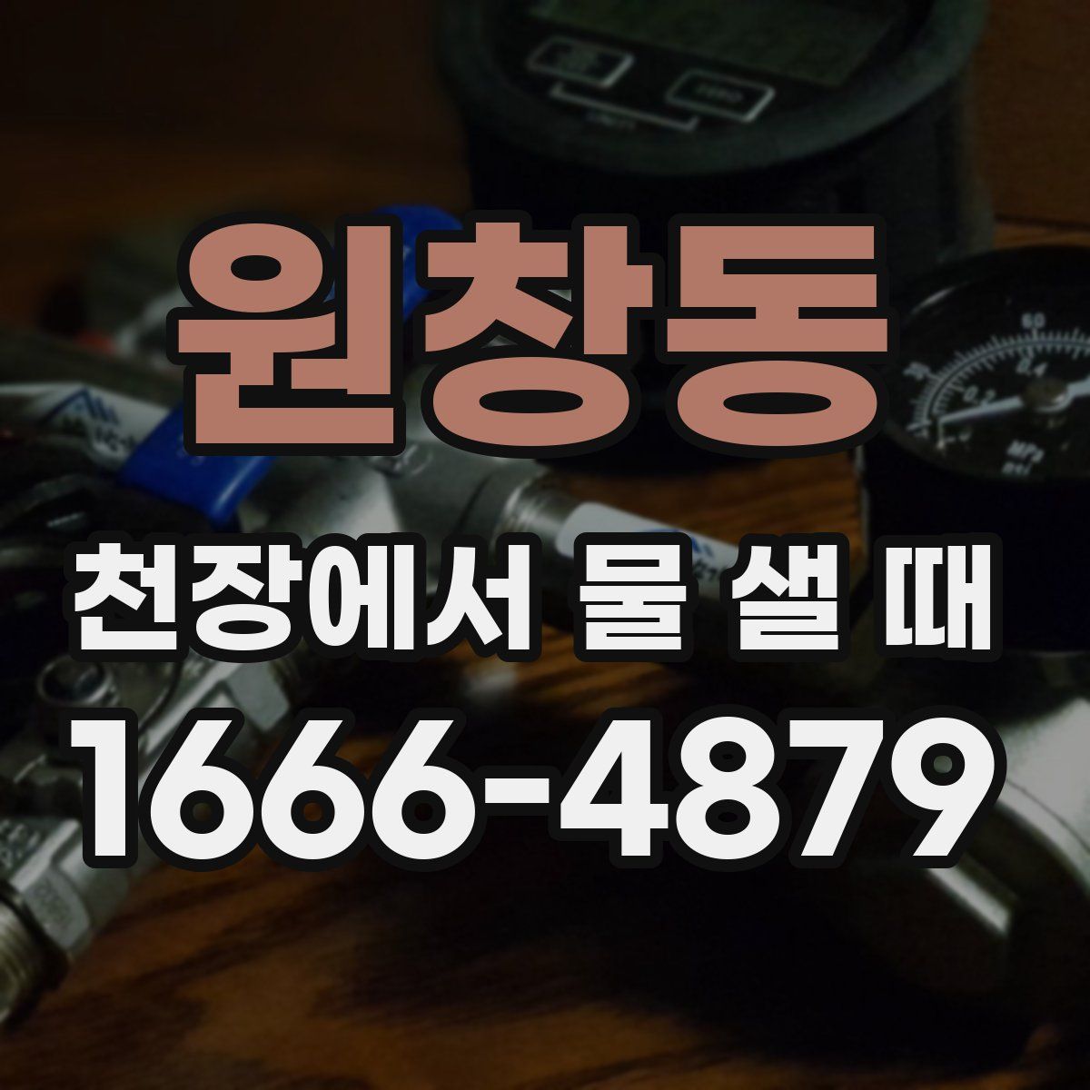 원창동 천장에서 물 샐 때