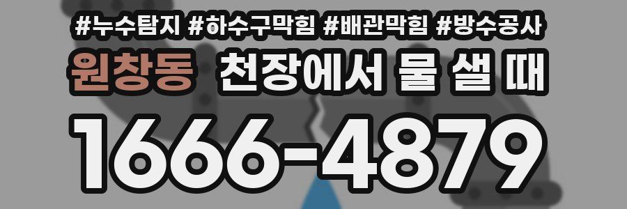 원창동 천장에서 물 샐 때