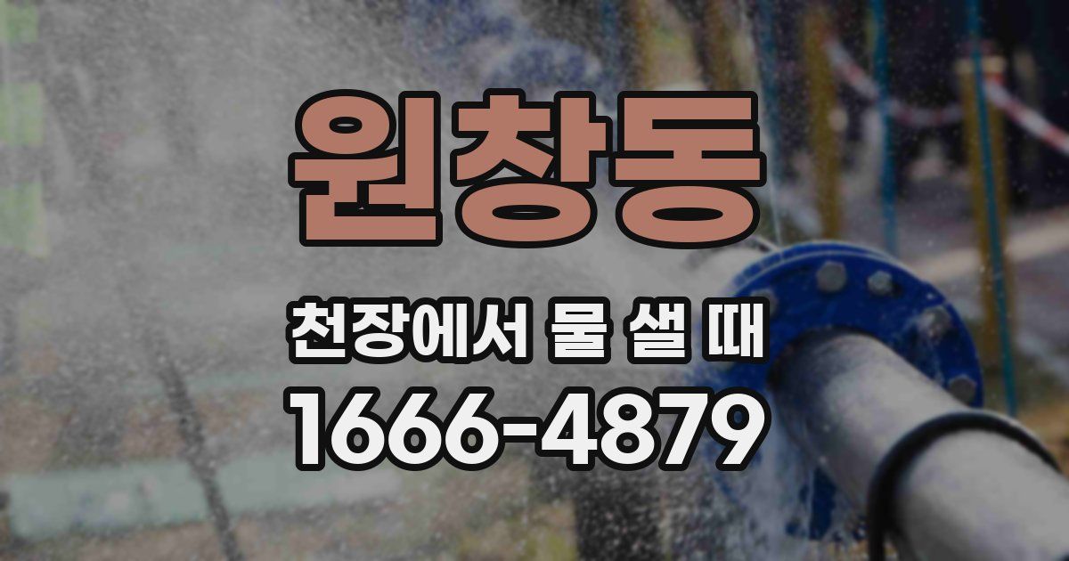 원창동 천장에서 물 샐 때
