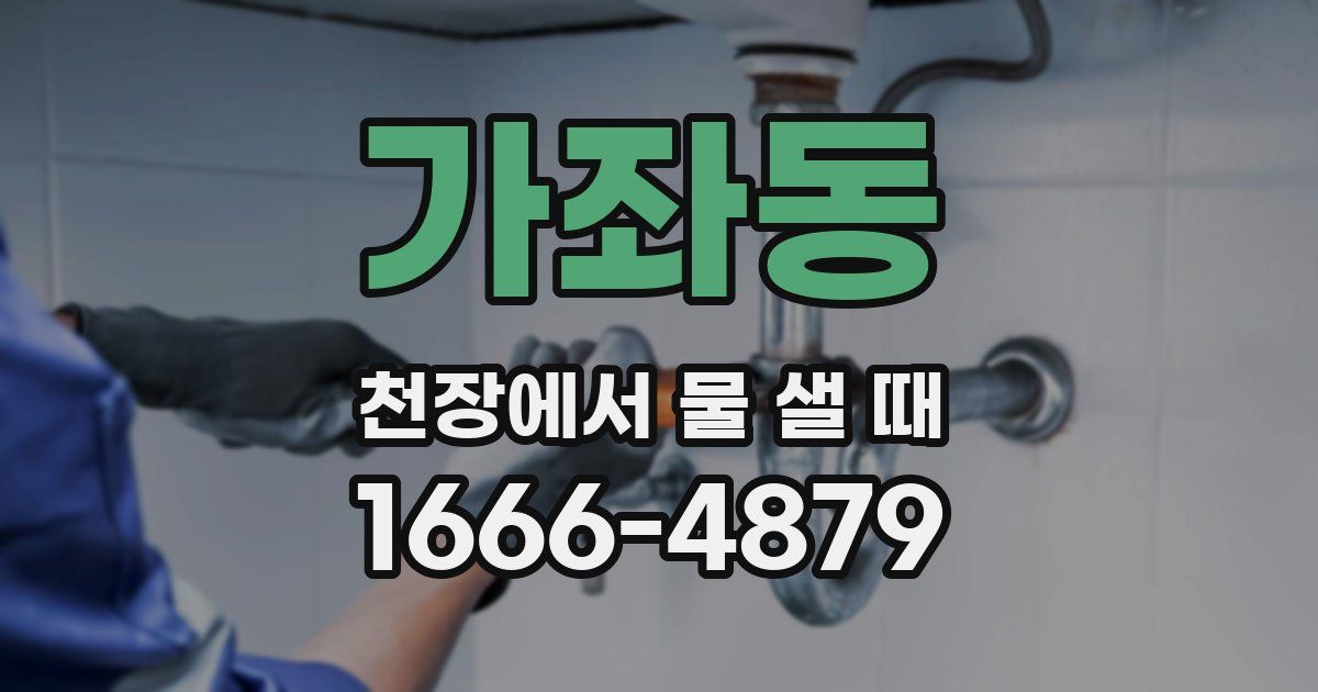 가좌동 천장에서 물 샐 때