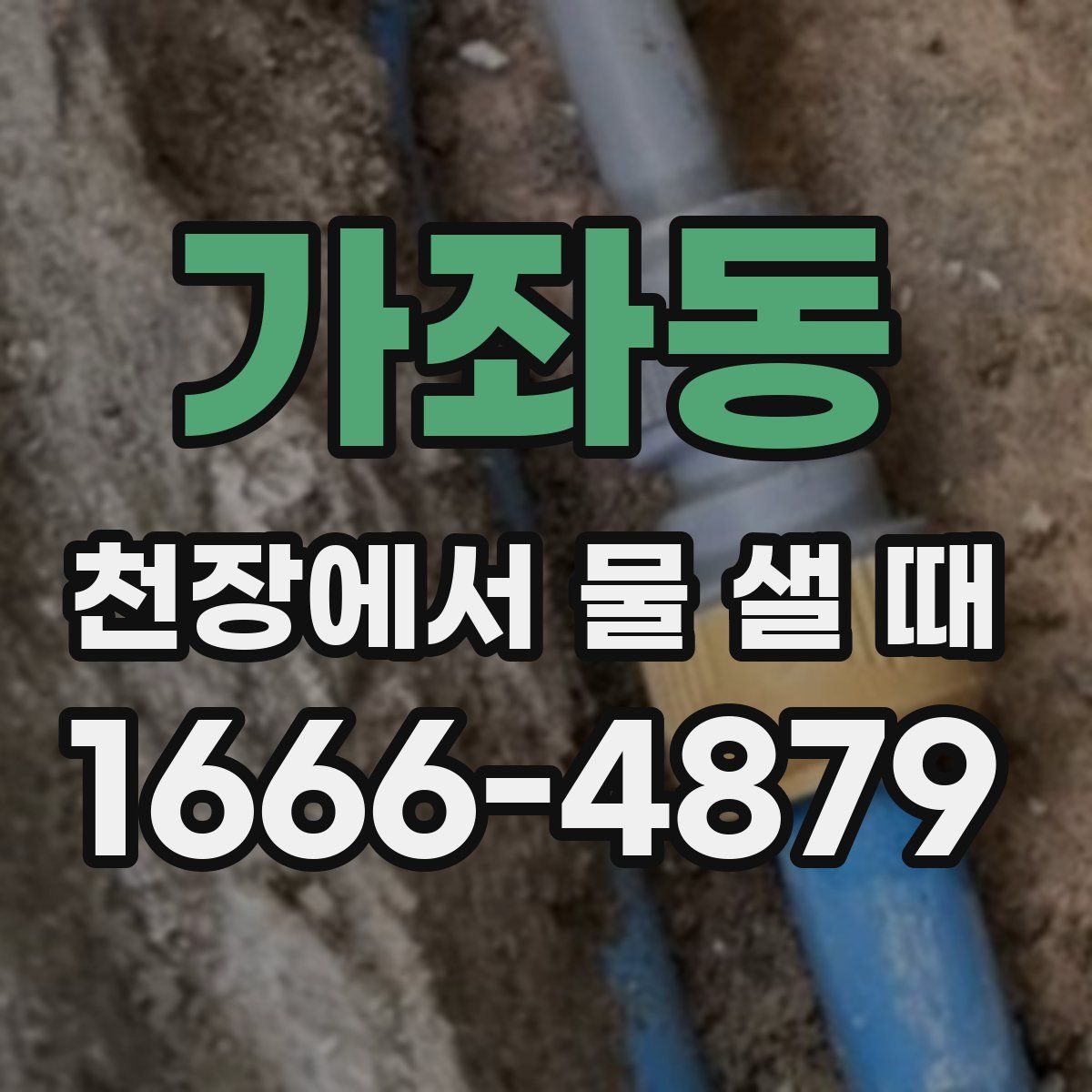 가좌동 천장에서 물 샐 때