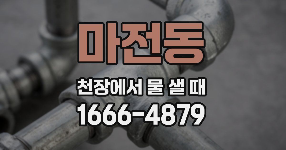 마전동 천장에서 물 샐 때