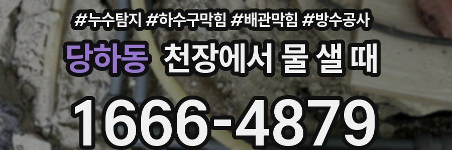 당하동 천장에서 물 샐 때