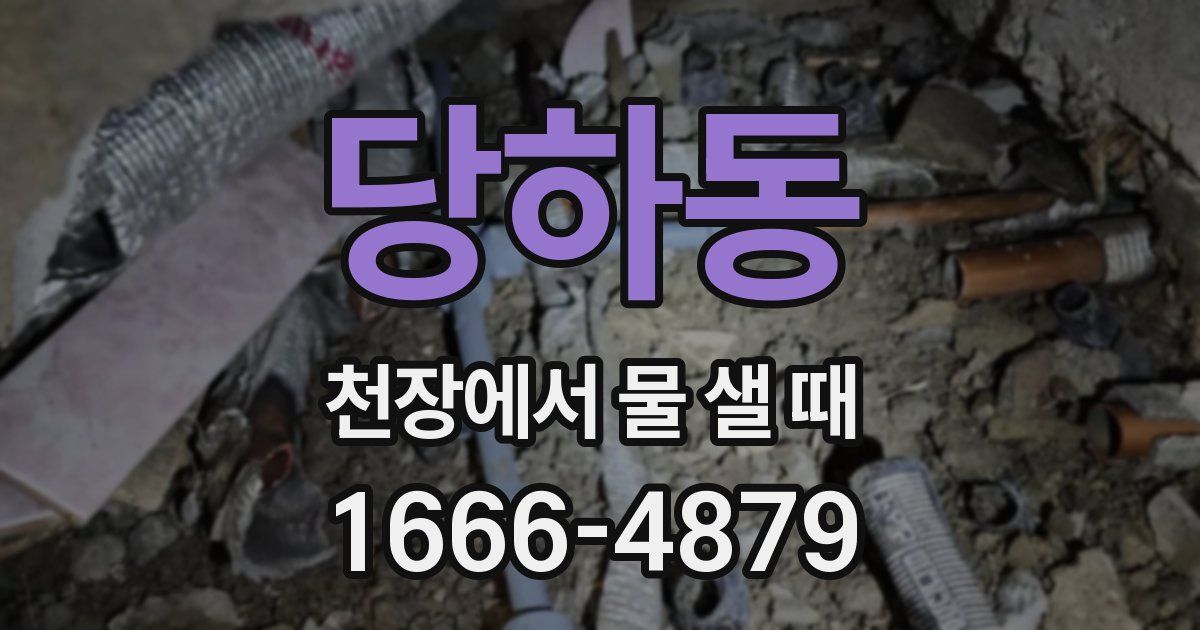 당하동 천장에서 물 샐 때