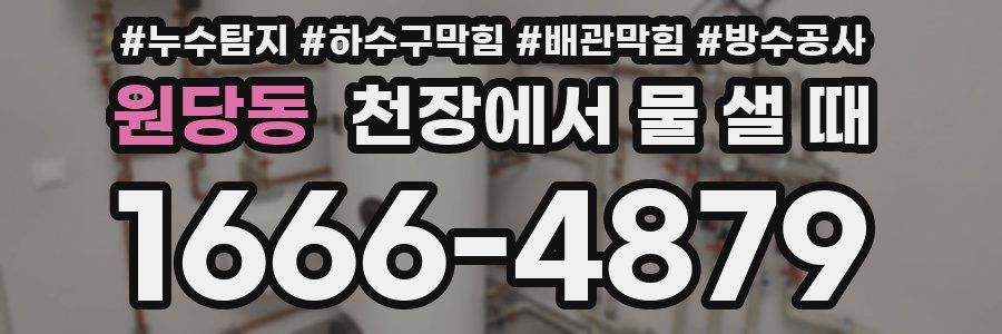 원당동 천장에서 물 샐 때