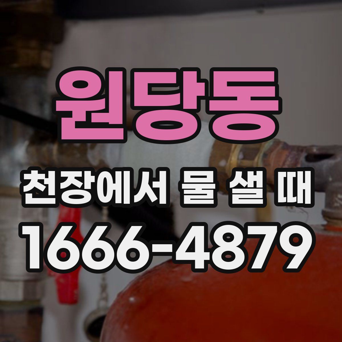 원당동 천장에서 물 샐 때