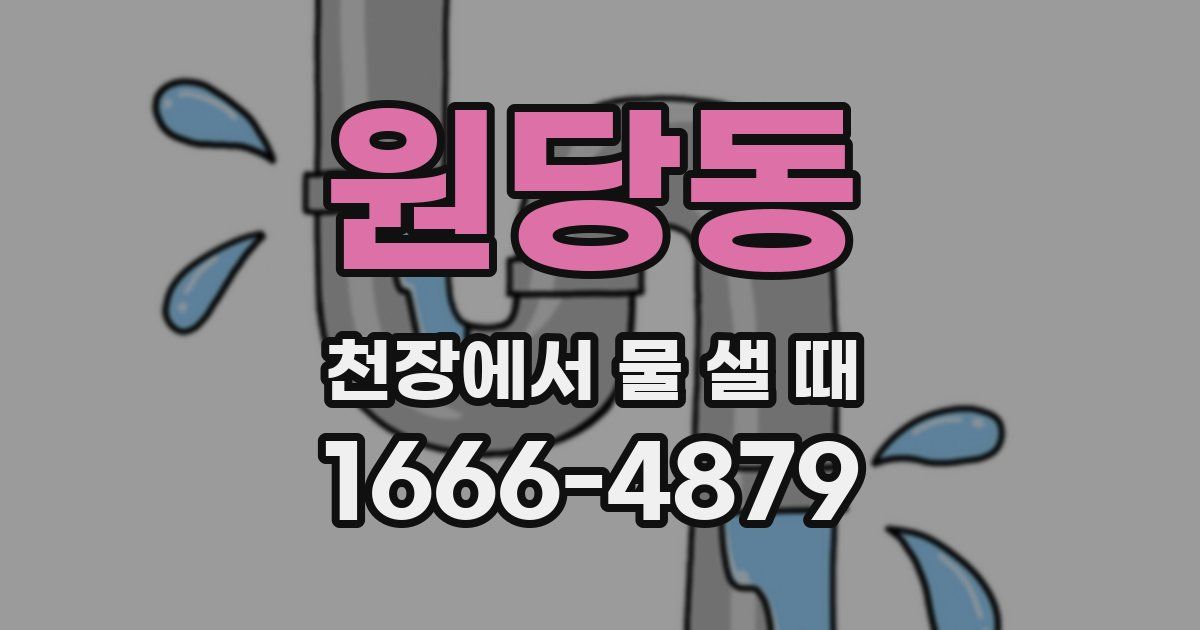 원당동 천장에서 물 샐 때