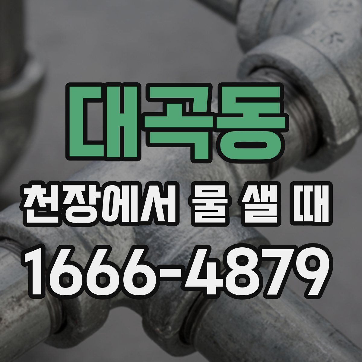 대곡동 천장에서 물 샐 때