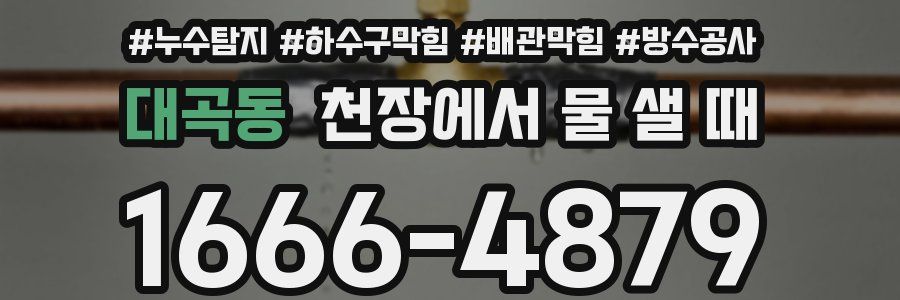 대곡동 천장에서 물 샐 때