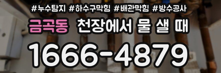 금곡동 천장에서 물 샐 때