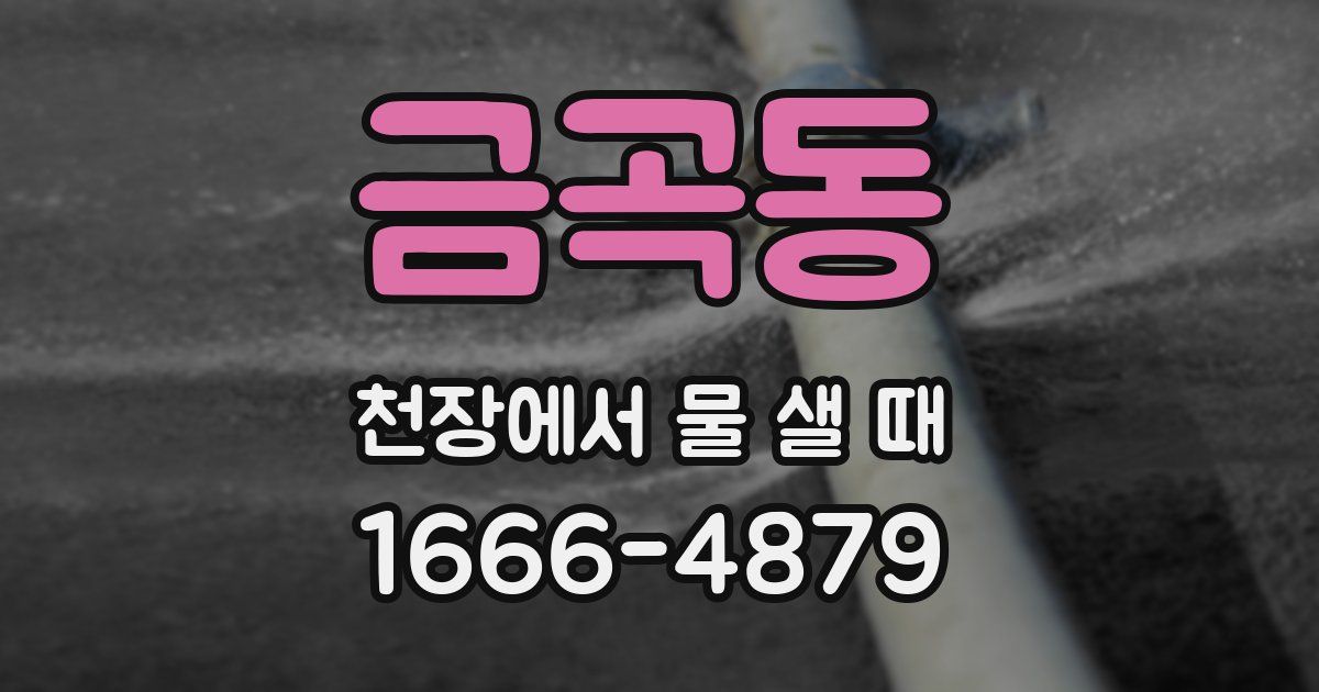 금곡동 천장에서 물 샐 때