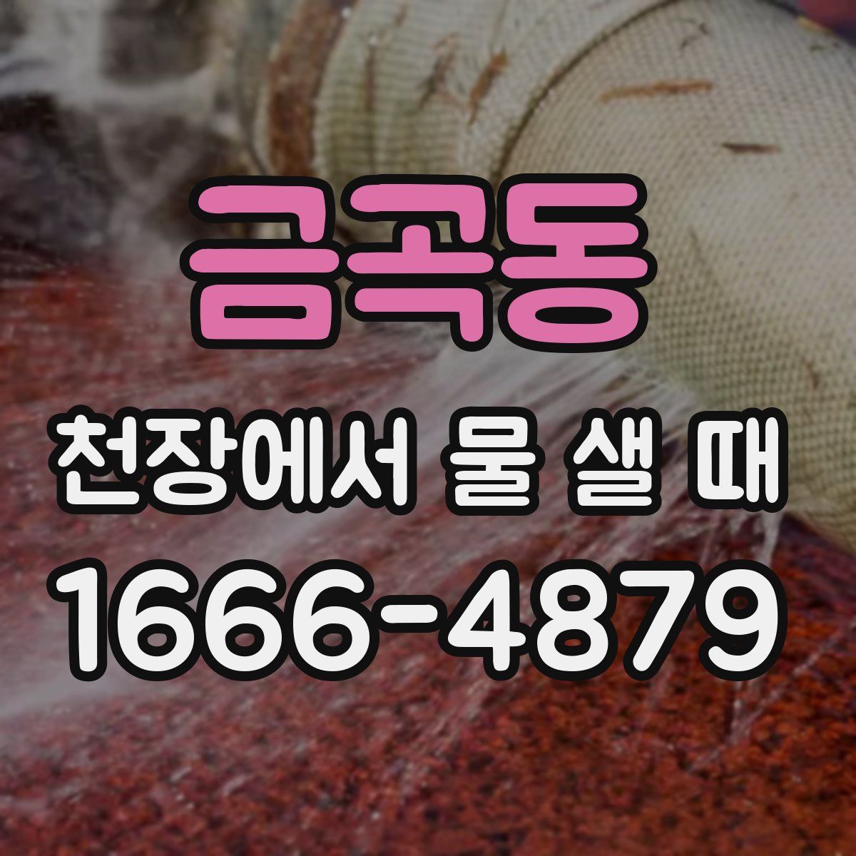 금곡동 천장에서 물 샐 때