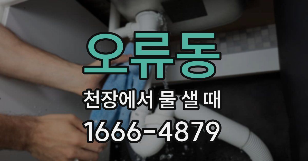 오류동 천장에서 물 샐 때