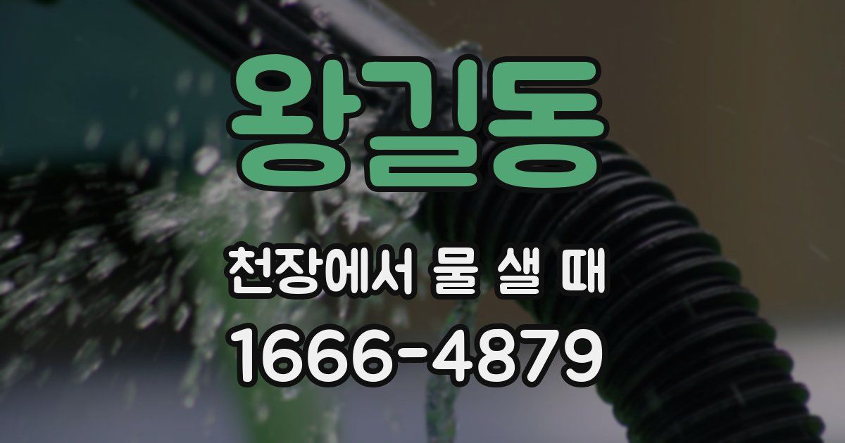 왕길동 천장에서 물 샐 때