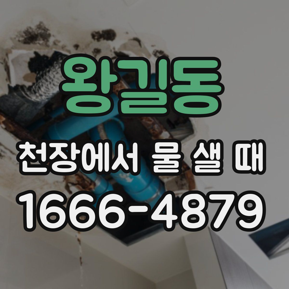 왕길동 천장에서 물 샐 때