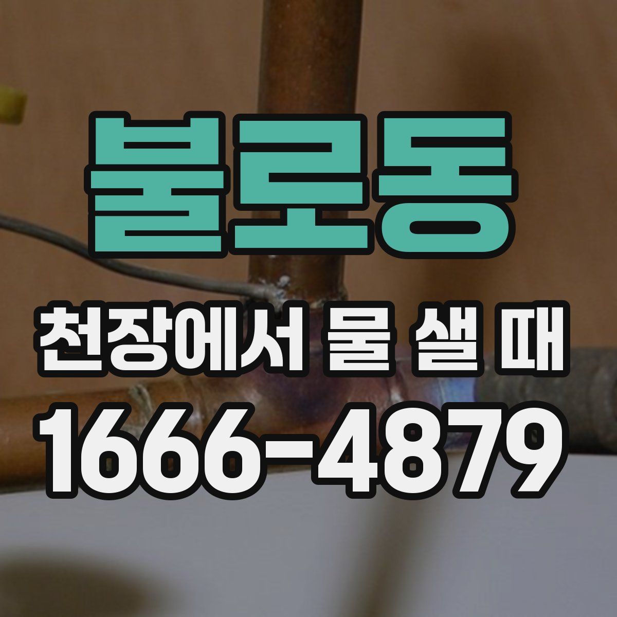 불로동 천장에서 물 샐 때