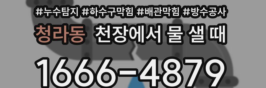청라동 천장에서 물 샐 때