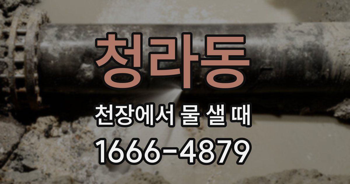 청라동 천장에서 물 샐 때