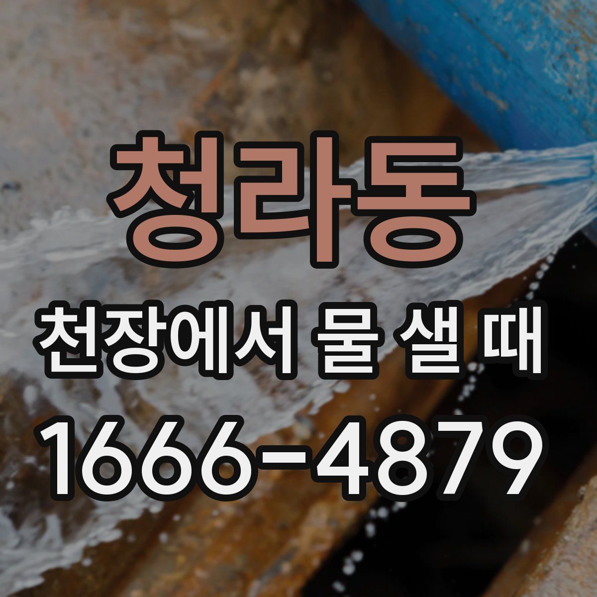 청라동 천장에서 물 샐 때