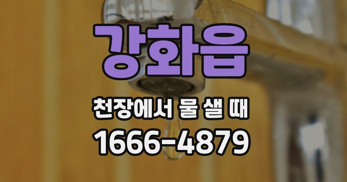 강화읍 천장에서 물 샐 때