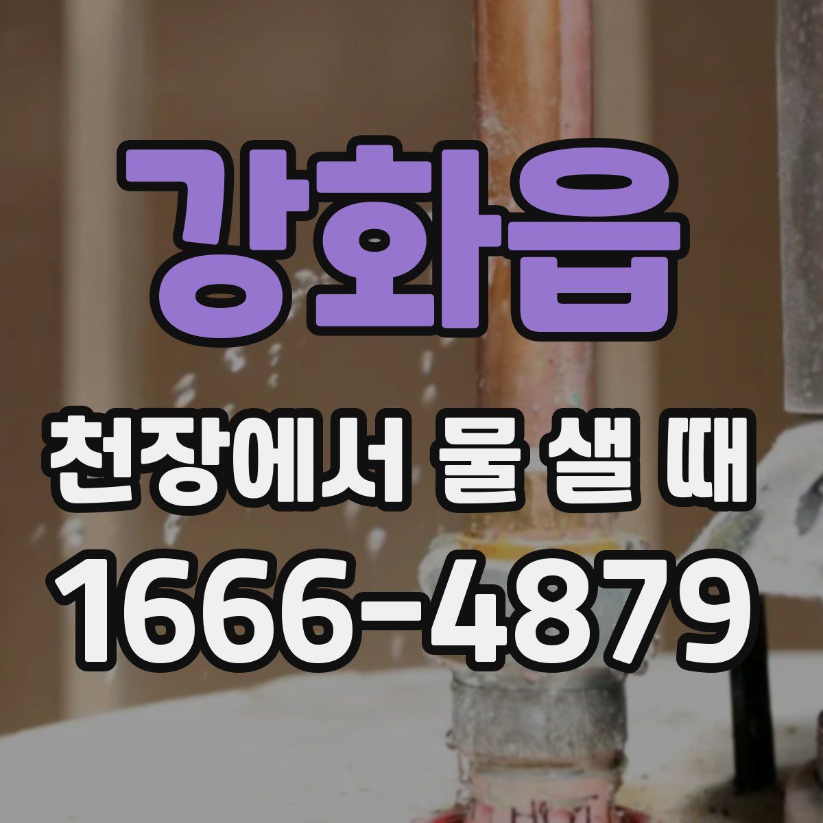 강화읍 천장에서 물 샐 때