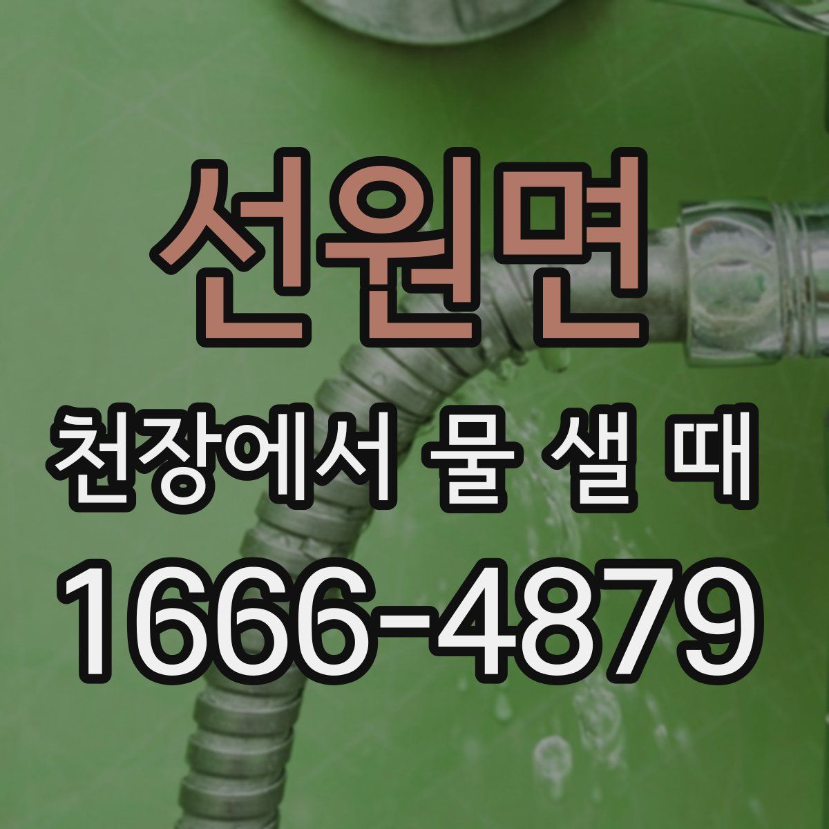 선원면 천장에서 물 샐 때