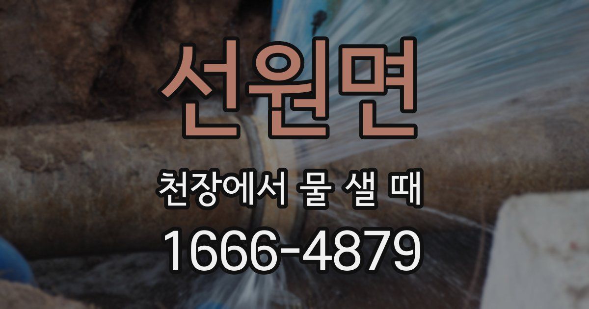 선원면 천장에서 물 샐 때