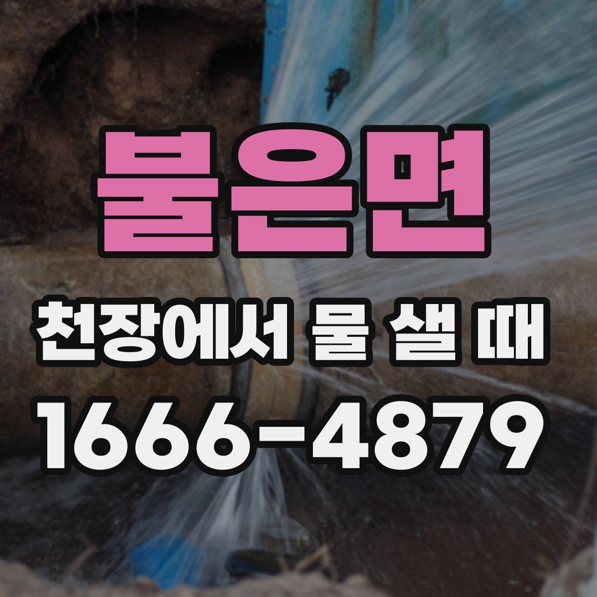 불은면 천장에서 물 샐 때