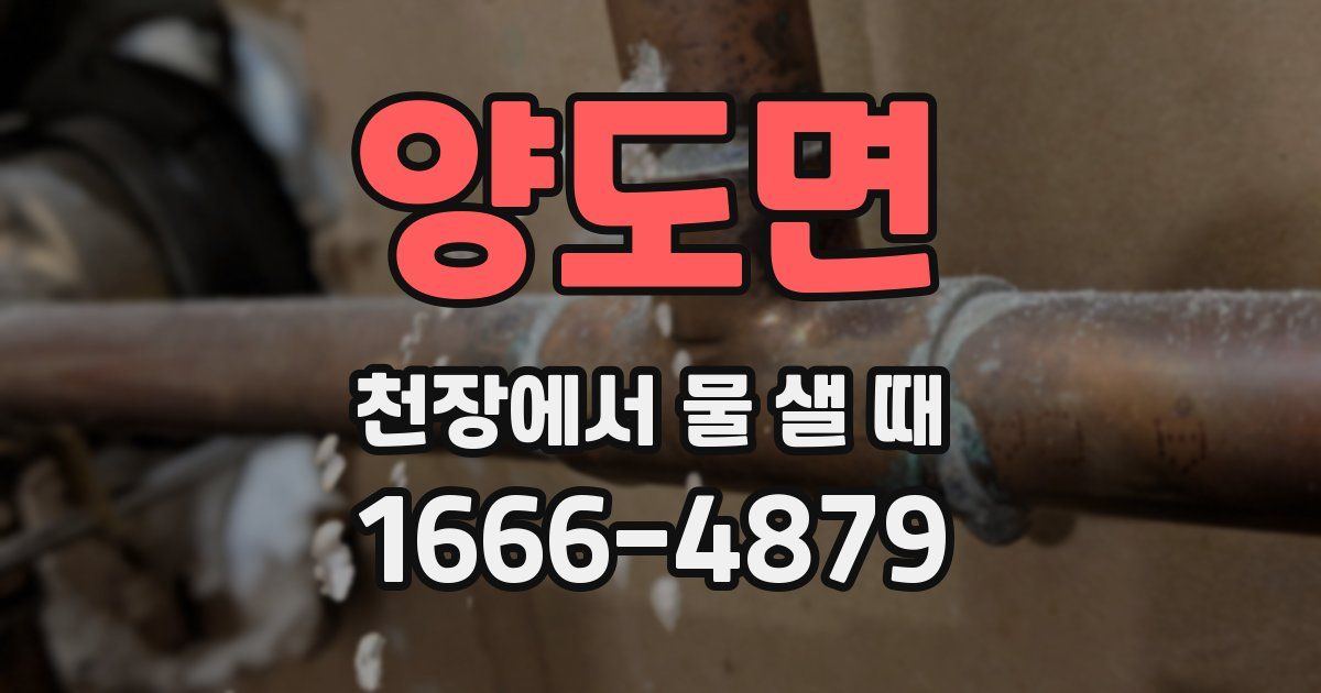 양도면 천장에서 물 샐 때