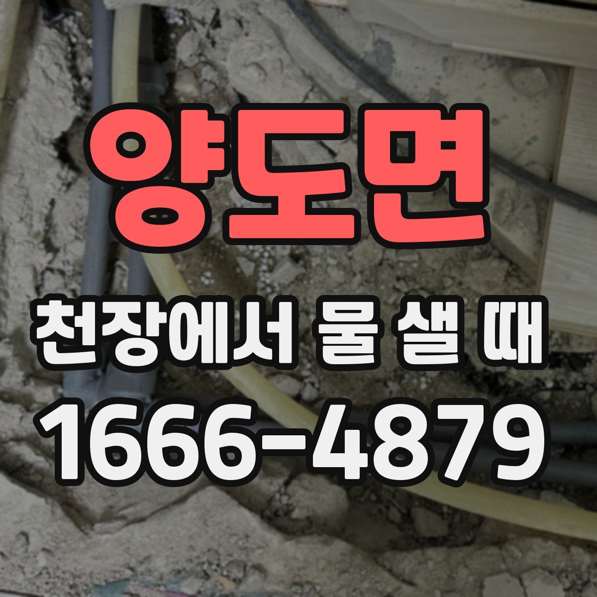양도면 천장에서 물 샐 때