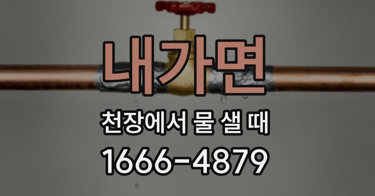 내가면 천장에서 물 샐 때