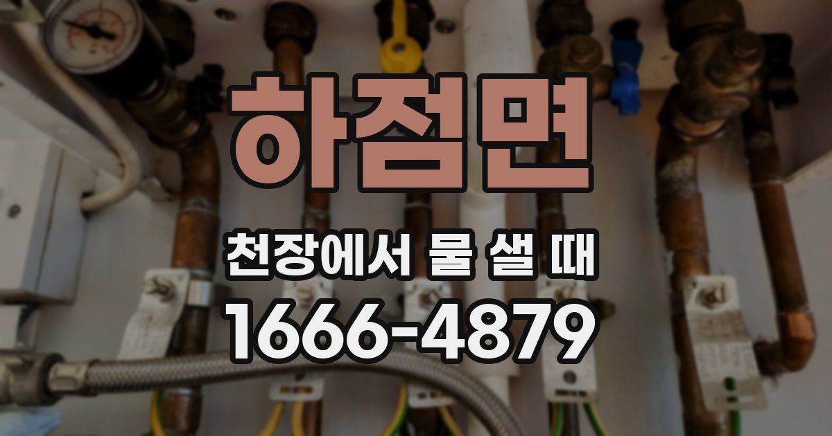 하점면 천장에서 물 샐 때