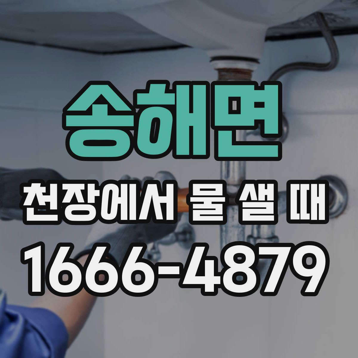 송해면 천장에서 물 샐 때