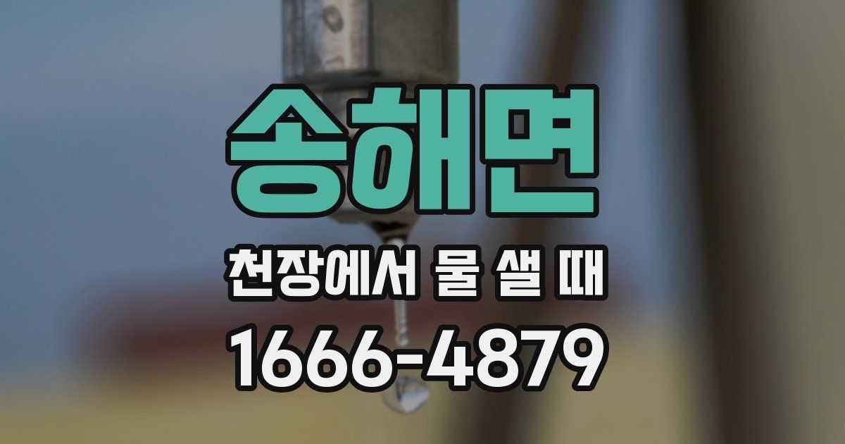 송해면 천장에서 물 샐 때