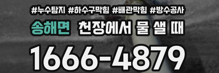 송해면 천장에서 물 샐 때