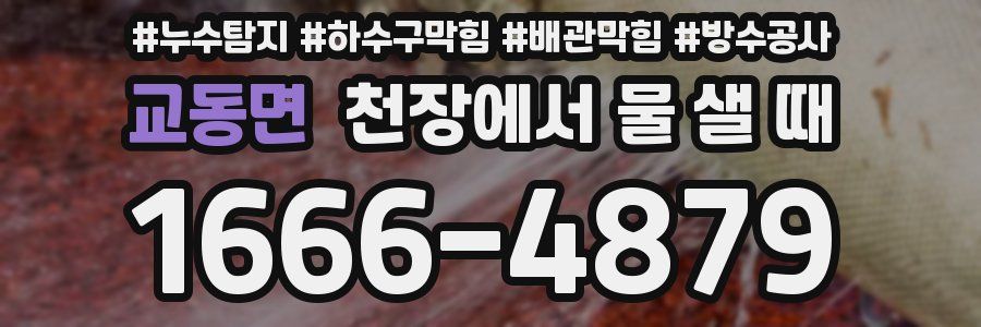 교동면 천장에서 물 샐 때