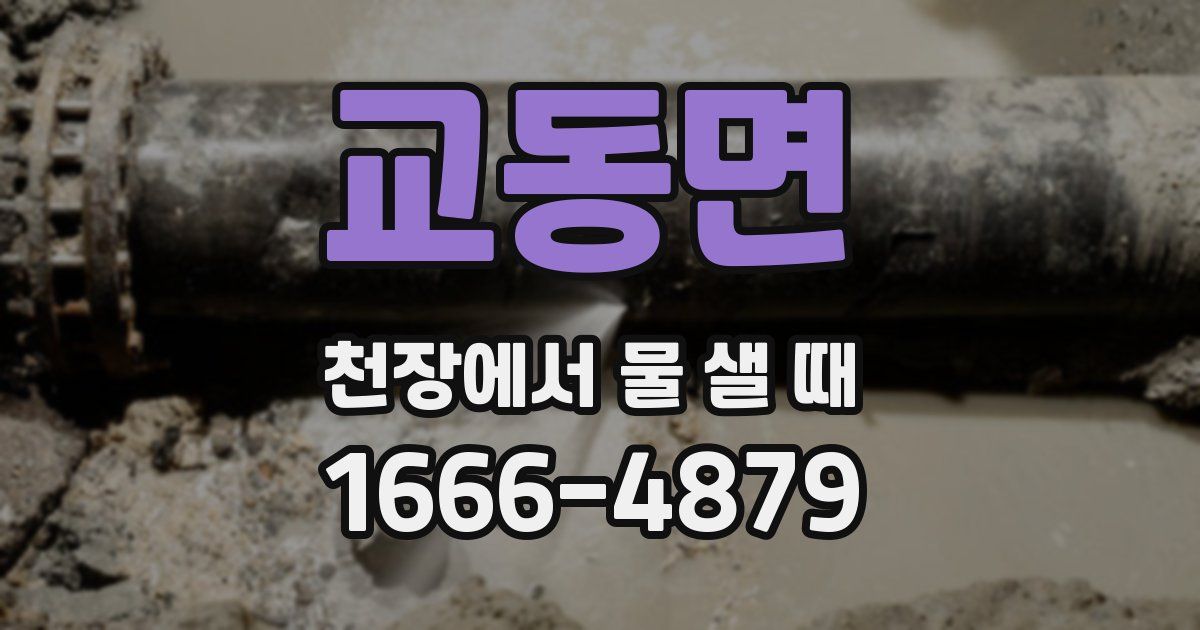 교동면 천장에서 물 샐 때