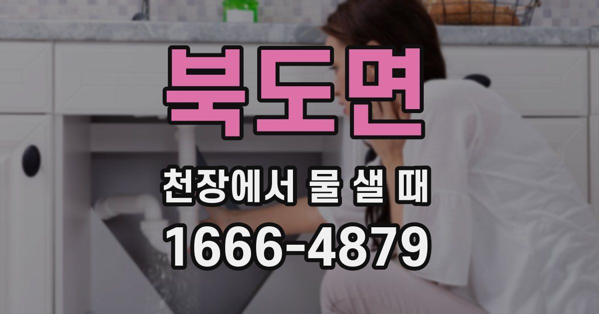 북도면 천장에서 물 샐 때