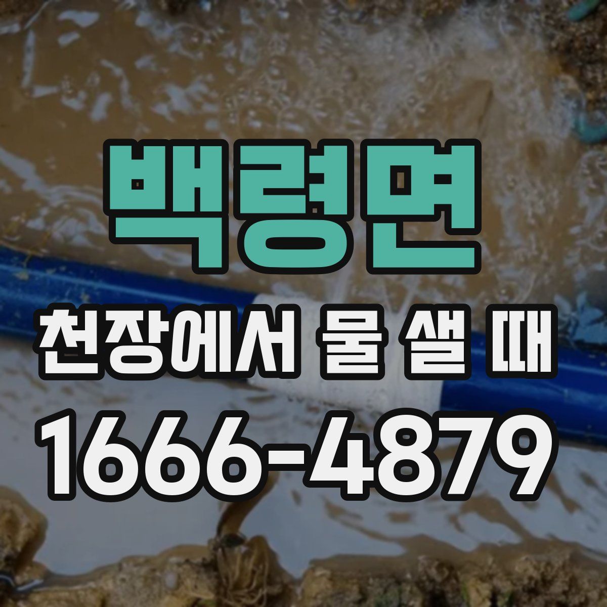 백령면 천장에서 물 샐 때