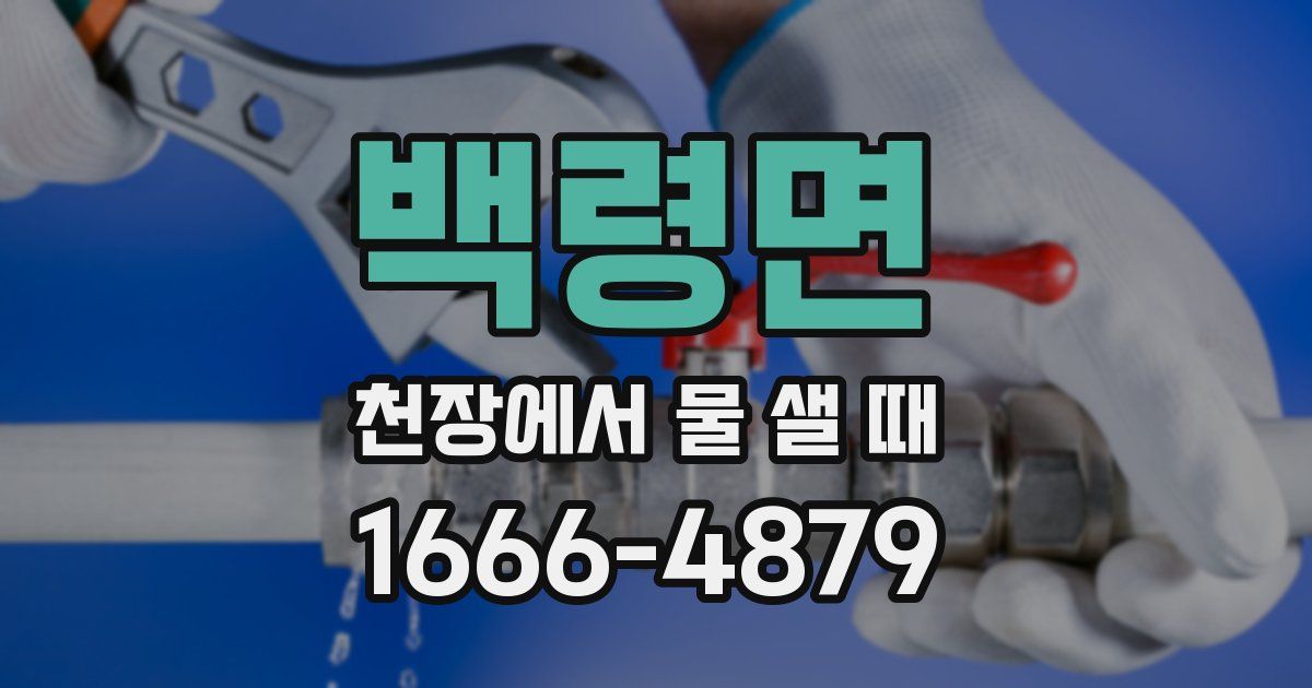 백령면 천장에서 물 샐 때