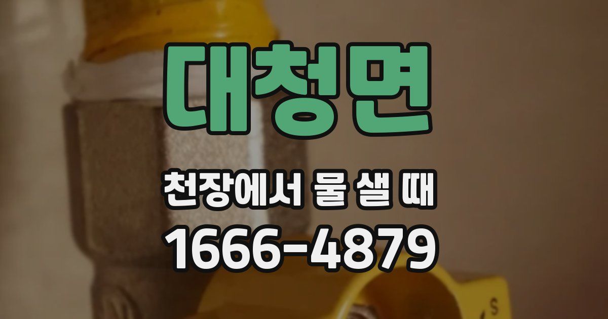 대청면 천장에서 물 샐 때