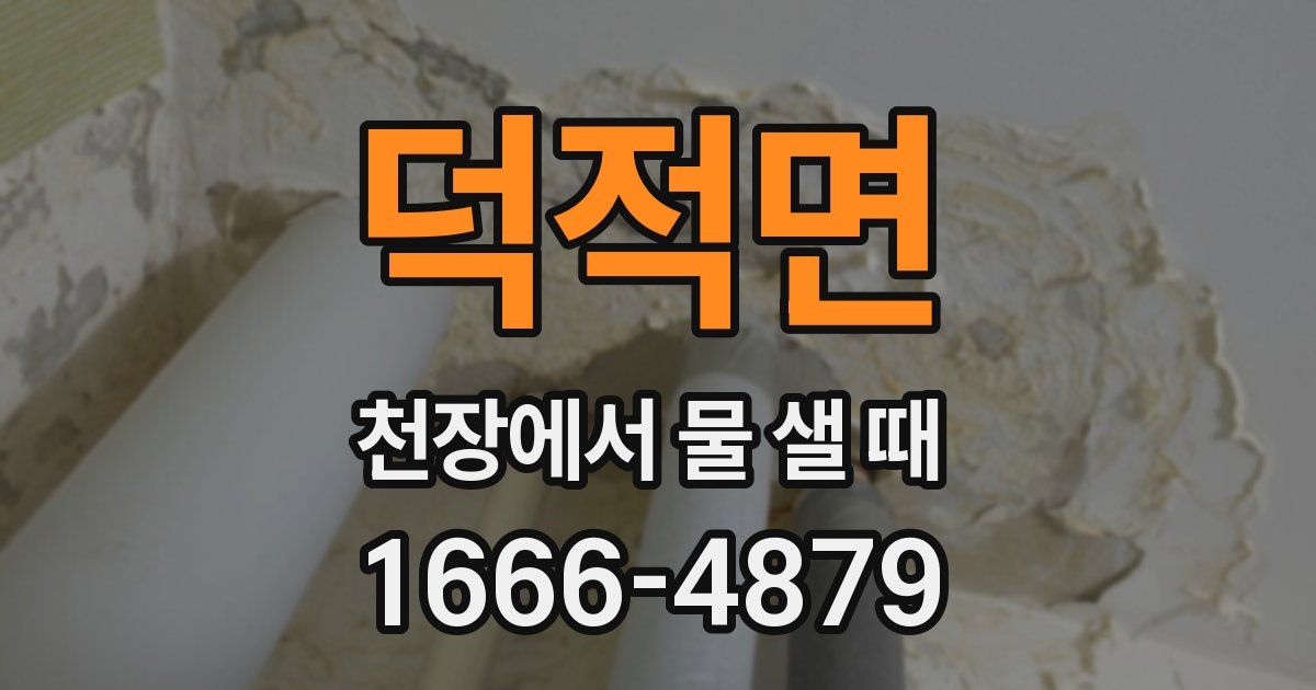 덕적면 천장에서 물 샐 때